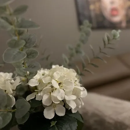 公寓 Comfort 菲拉赫