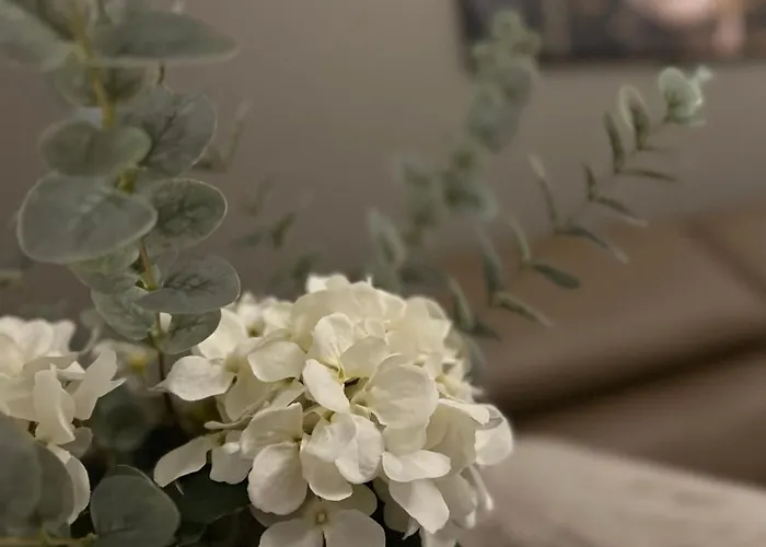 Διαμέρισμα Comfort Φίλλαχ